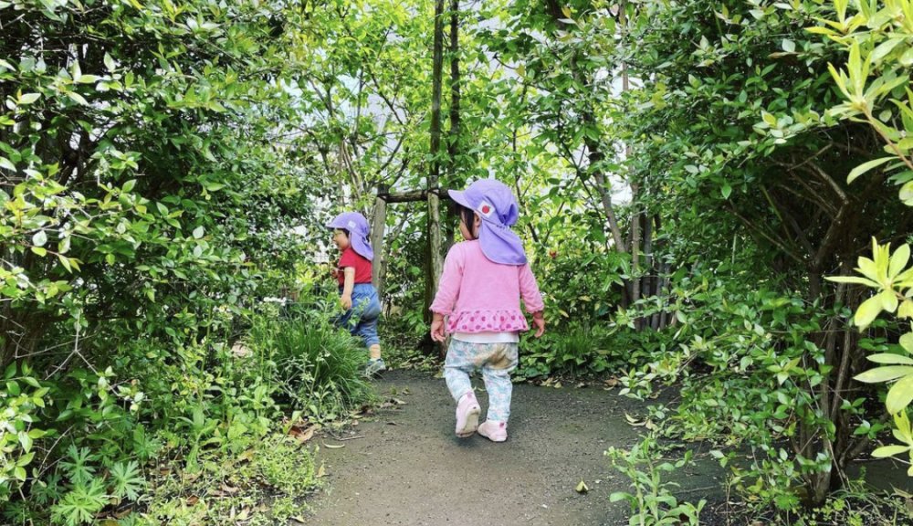 【みらい】お散歩