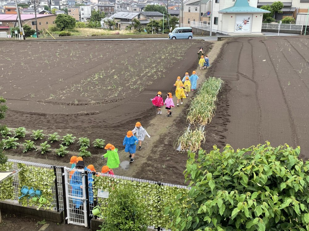 【きらり】さんクラス　雨の日散歩＆うんどう遊び