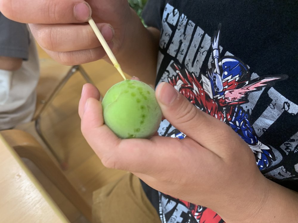 【わかば】梅ジュースcooking