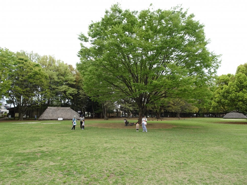【けやきっこ】貝塚公園であそぼう！