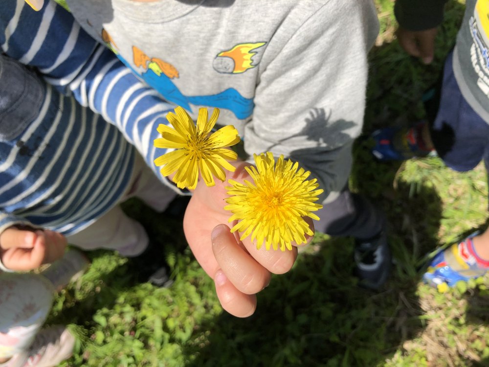 【わかば】春散歩！