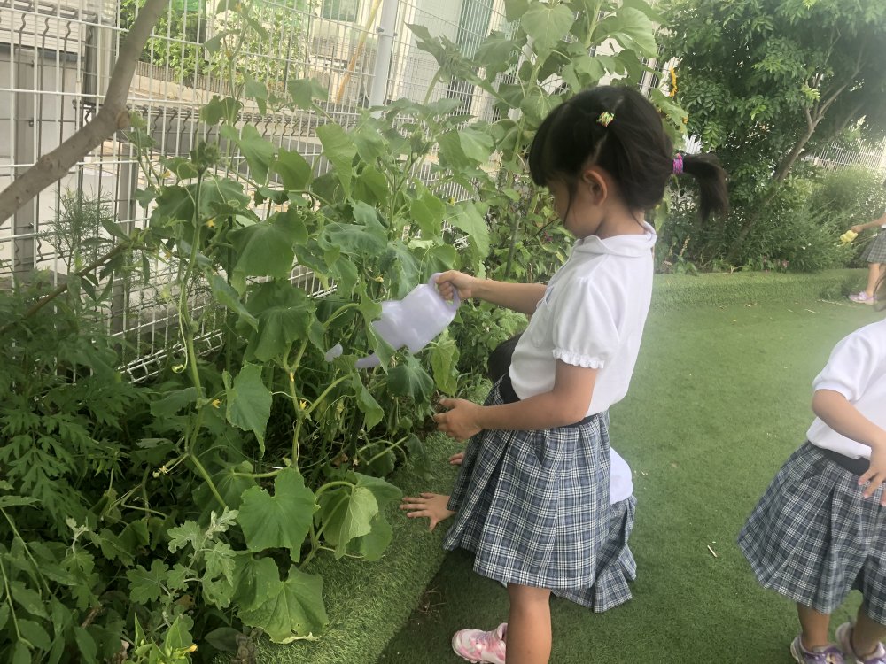 【わかば】野菜　おおきくなあれ！