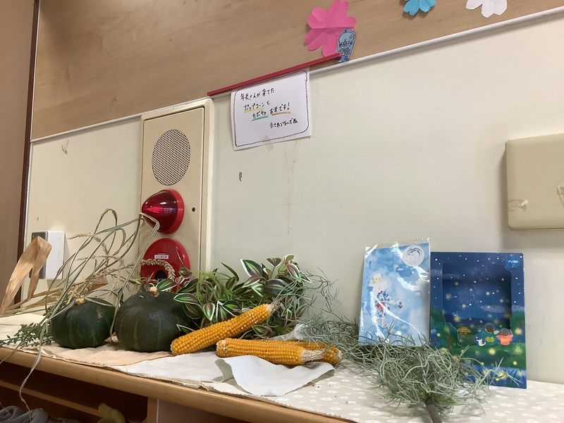 【はやみや】　夏野菜片づけ　ポップコーン収穫と冬の準備