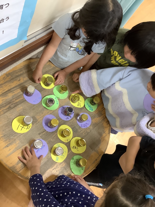 【はやみや】年長 自然遊び~春の花のハーバリウム作り~