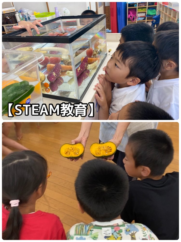 『野菜や果物は水に浮く?沈む?』実験!