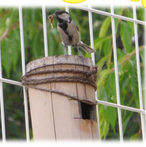 ただ今、子育て支援真っ最中！