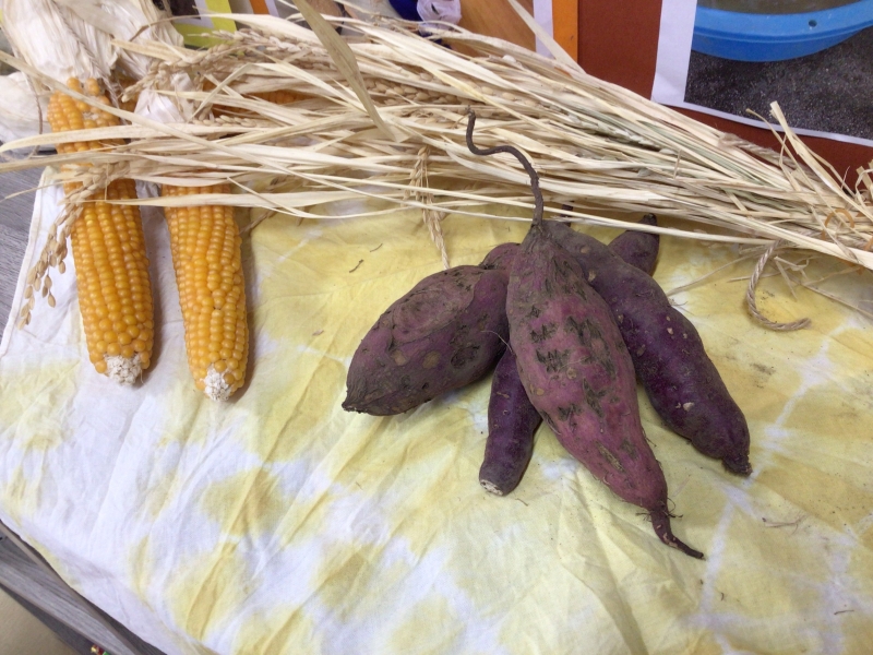 【はやみや】2025年～さつまいも掘り、ツルリース作り～