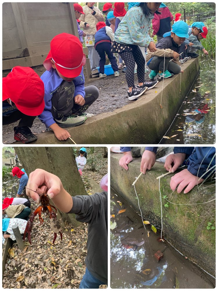 自然学び体験【ザリガニ釣り