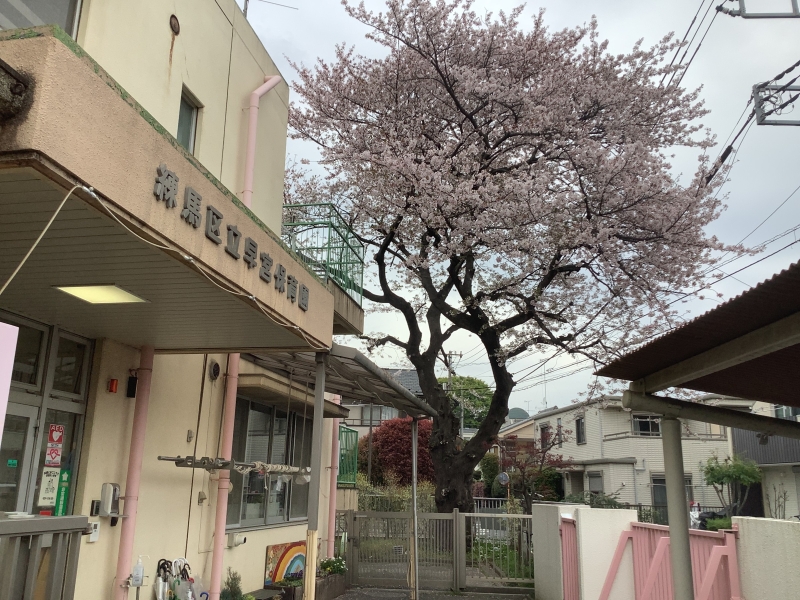 【はやみや】春爛漫～今年度もよろしくお願いします～