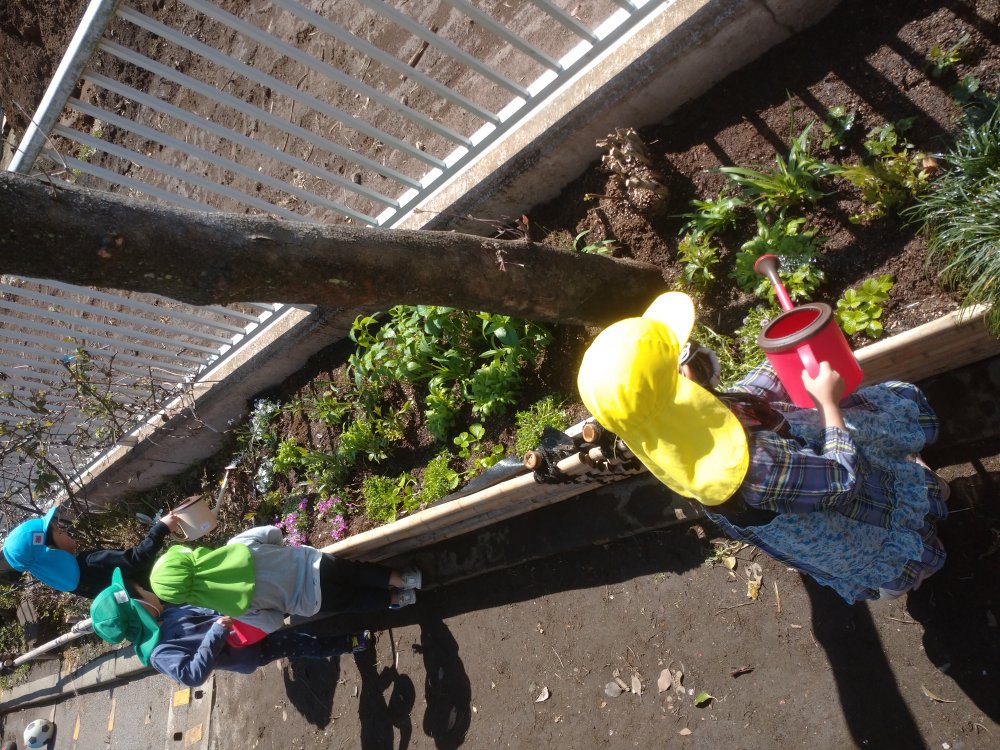 【はやみや】新しい花壇