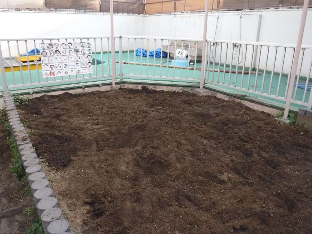 【はやみや】年長　畑食育体験