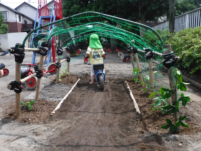 【はやみや】緑のトンネルを作りました！