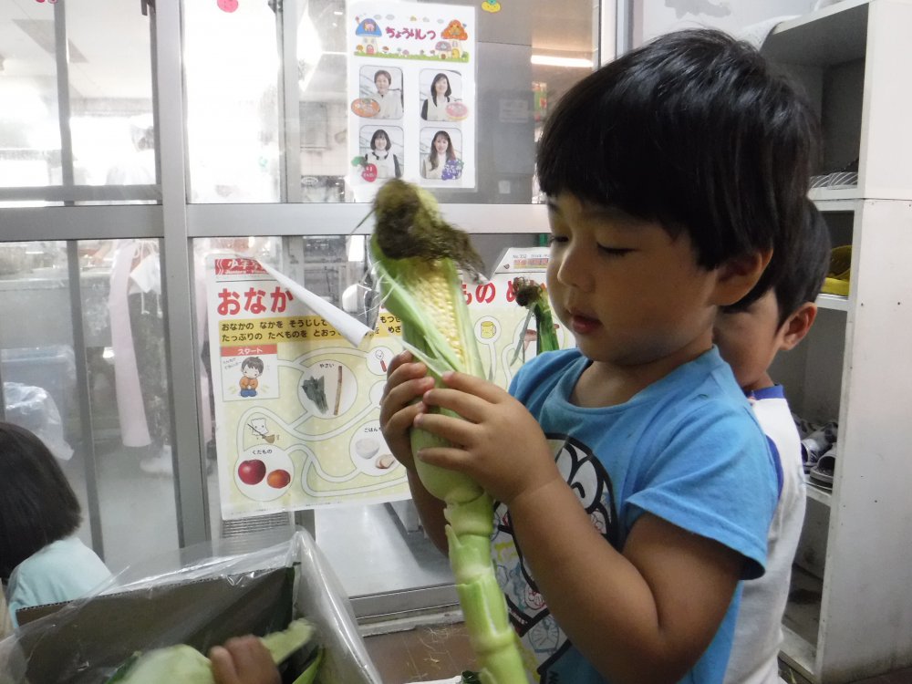 とうもろこしの皮むき体験