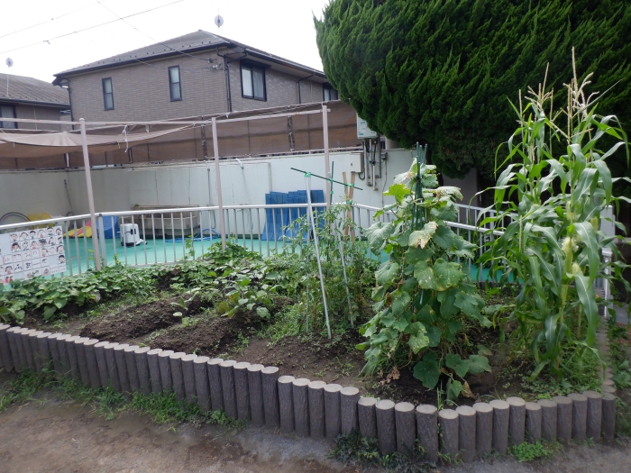 【はやみや】夏の園庭
