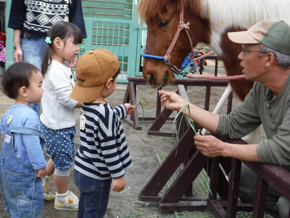 【けやきっ子】ポニーが来たよ～！