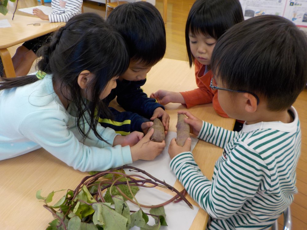 《わかば》アート「さつま芋の絵」を描こう！（たいよう組）