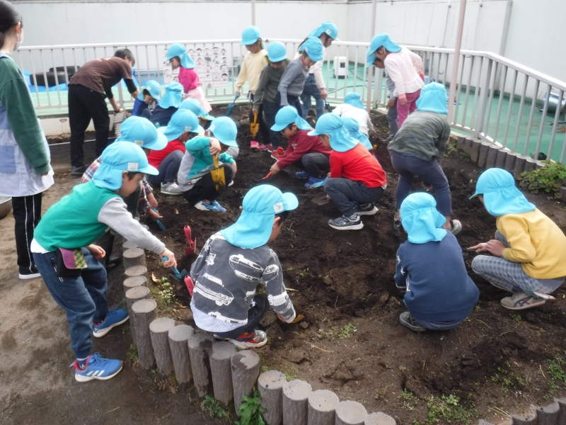 【はやみや】年長　畑のお片付け