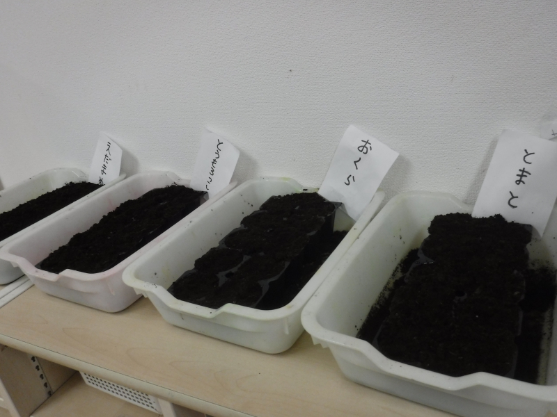 【はやみや】年長　たけのこファーム始動！