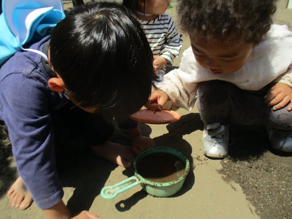 《わかば》探究心からのわくわく実験！