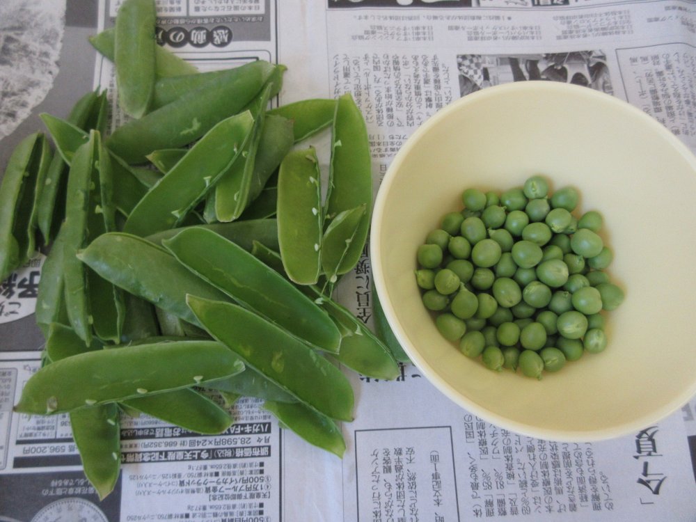 《わかば》グリンピースの皮むき