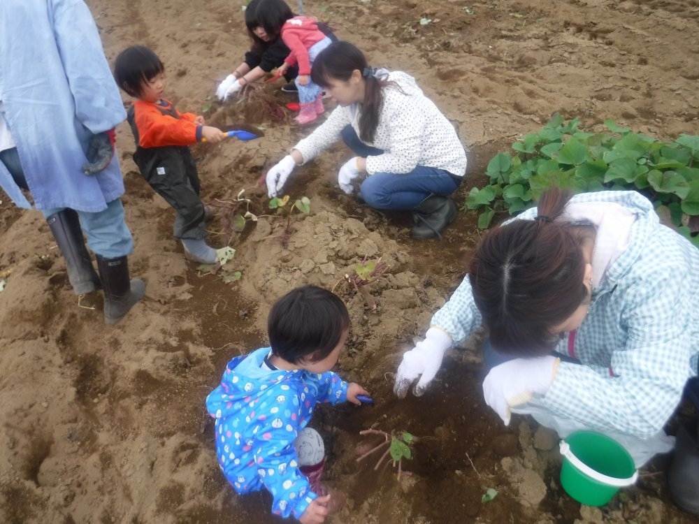 【けやきっ子】さつまいもほりに行ってきました！！