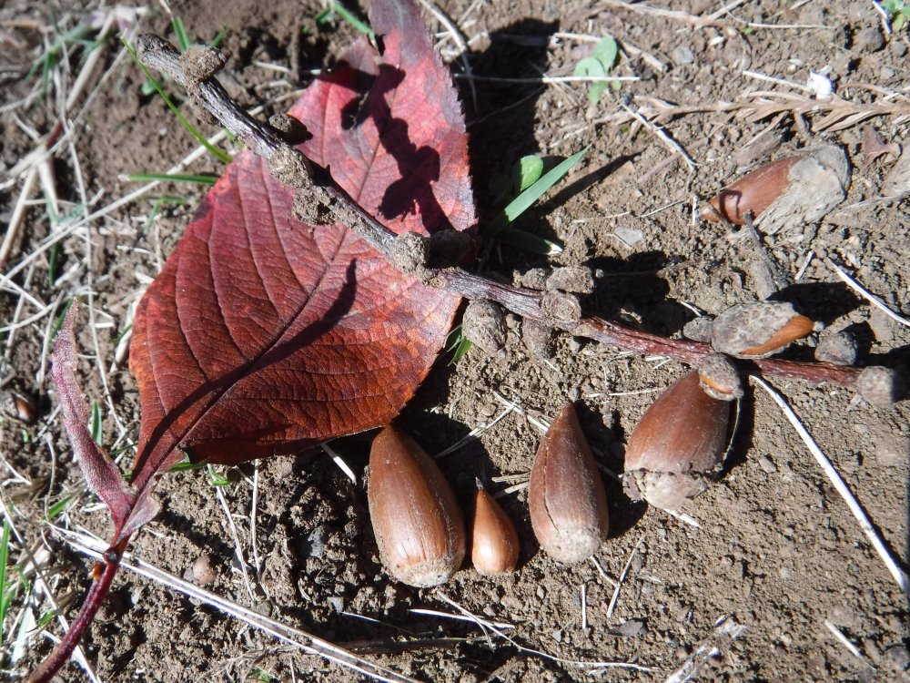 【けやきっ子】栗谷津公園いってきました♪
