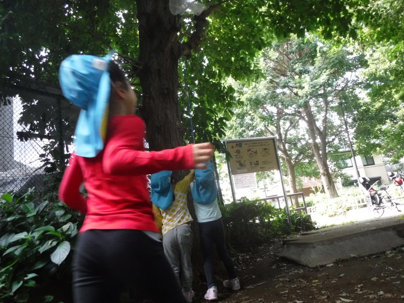 【はやみや】4・5歳合同自然探索活動~カブト虫探し~