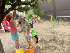 《わかば》梅の実を発見！