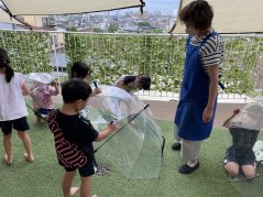 【きらり】森村先生と遊ぼう！ 　傘アート