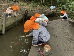 【きらり】さんクラス　ザリガニ釣り