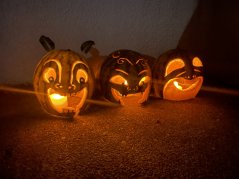 【わかば】絵本の世界を楽しんでいます