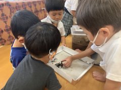 【わかば】夏のヒーロー！