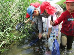 江川探検に行ってきました！