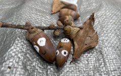 【きらり】ひろ先生と遊ぼう！in山崎公園