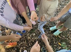 【わかば】秋の自然物ジャンケン