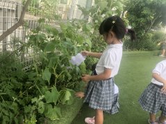 【わかば】野菜　おおきくなあれ！