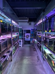 【はやみや】年長　ペットショップ訪問