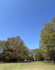 貝塚公園であそぼう！