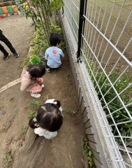 園庭あそび　