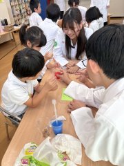 色水タワー作りにチャレンジ〜STEAM教育〜