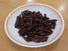 《わかば》イナゴの佃煮作り～命に感謝～