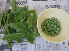 《わかば》グリンピースの皮むき