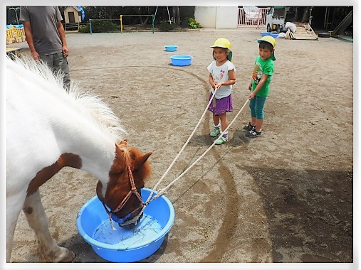 300612Pony6.jpg 300612Pony6.jpg