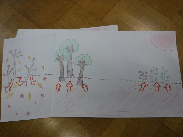 DSCF8071_compressed.jpg DSCF8071_compressed.jpg