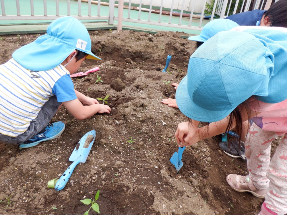 uekomi5.jpg uekomi5.jpg