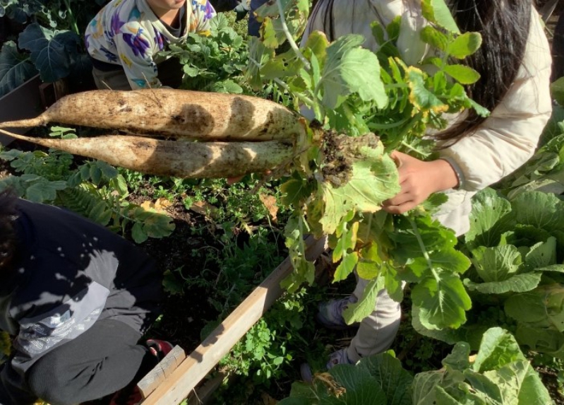 4hfXOAPg.jpg 4hfXOAPg.jpg