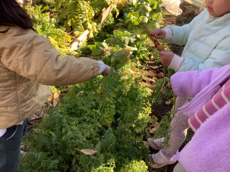 8J6i0-Wc.jpg 8J6i0-Wc.jpg