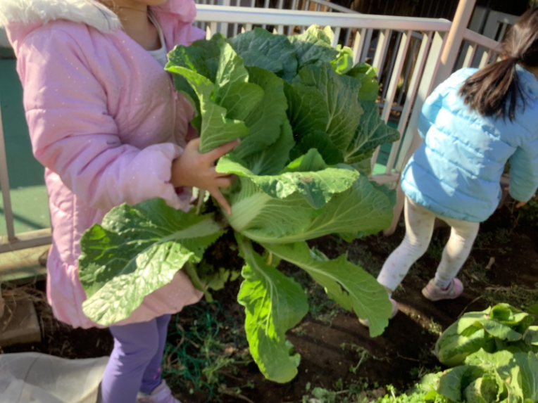 ltLP0AUc.jpg ltLP0AUc.jpg