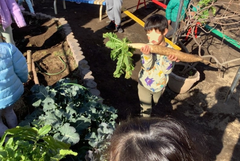 npyF-9yY.jpg npyF-9yY.jpg