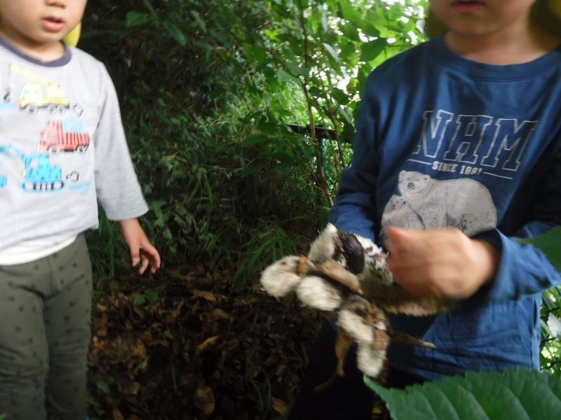 10_compressed.jpg 10_compressed.jpg